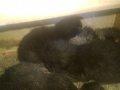 WP_20150506_005.jpg